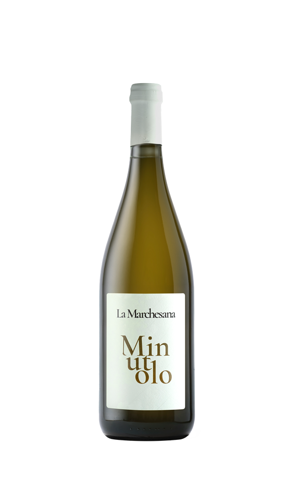 MINUTOLO MARCHESANA