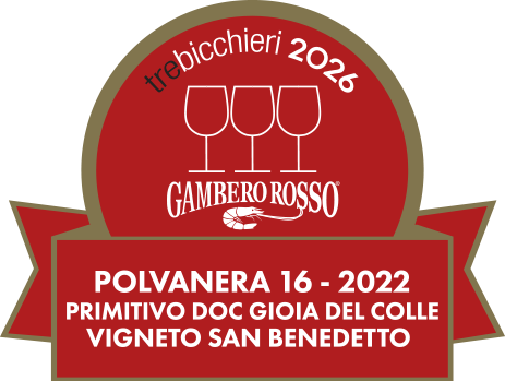 POLVANERA 16 - 2022 - immagine 2