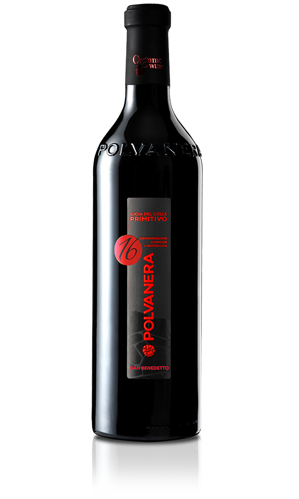 POLVANERA 16 – 2022